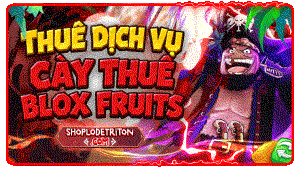 CÀY THUÊ BLOX FRUITS